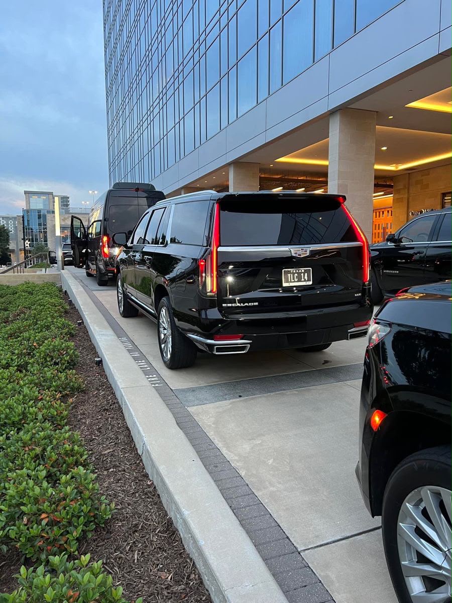 MC Sedan vehicles lined up for corporate transportation